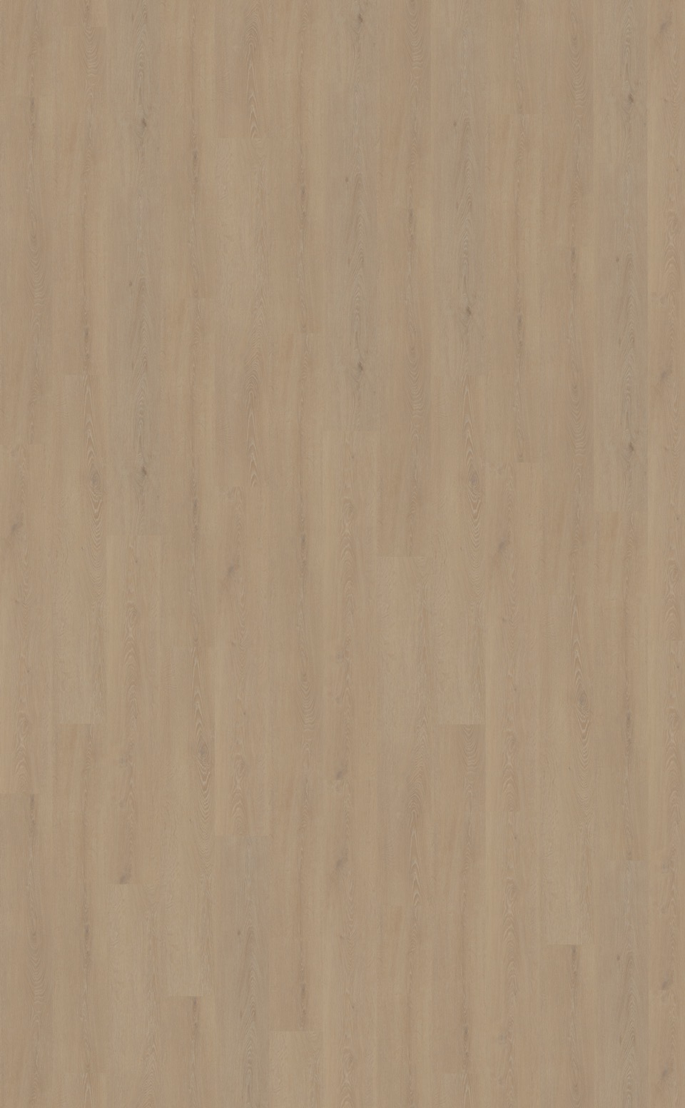 belakos cervo 210 rigid click pvc