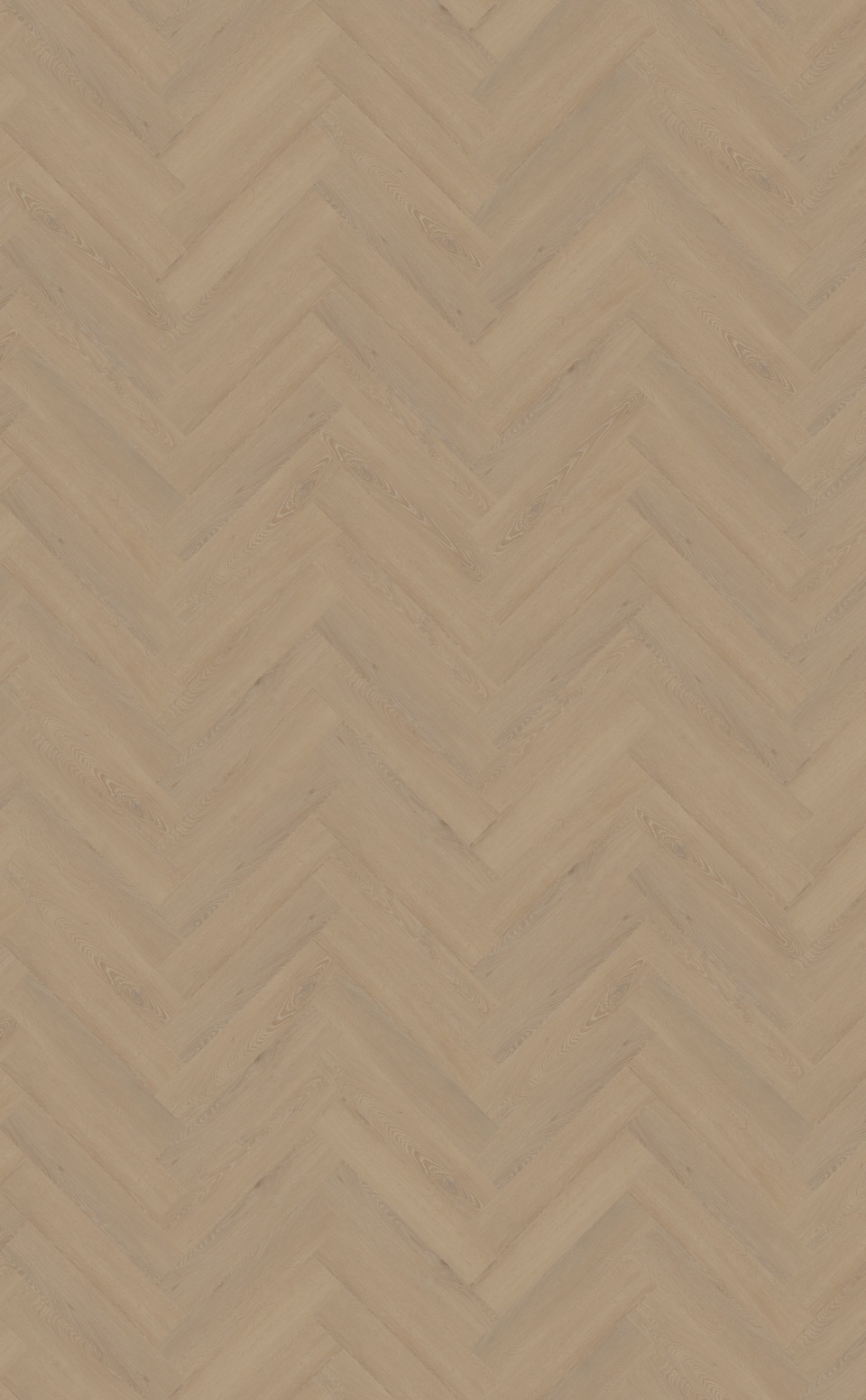 belakos cervo visgraat xl 21 rigid click pvc