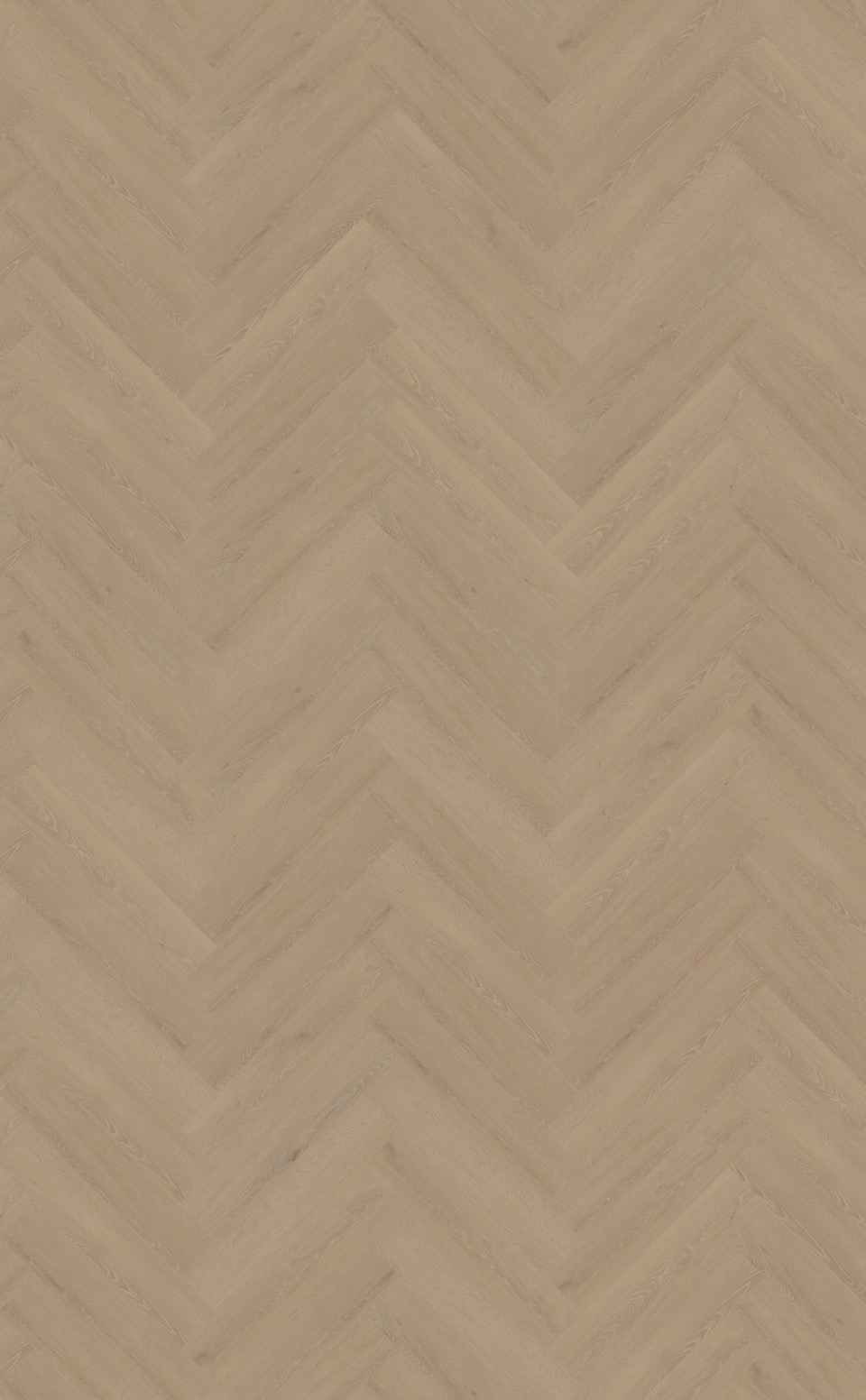 belakos cervo walvisgraat w21 plak pvc