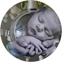 John Schoeller profielfoto