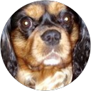 Jw D. profielfoto